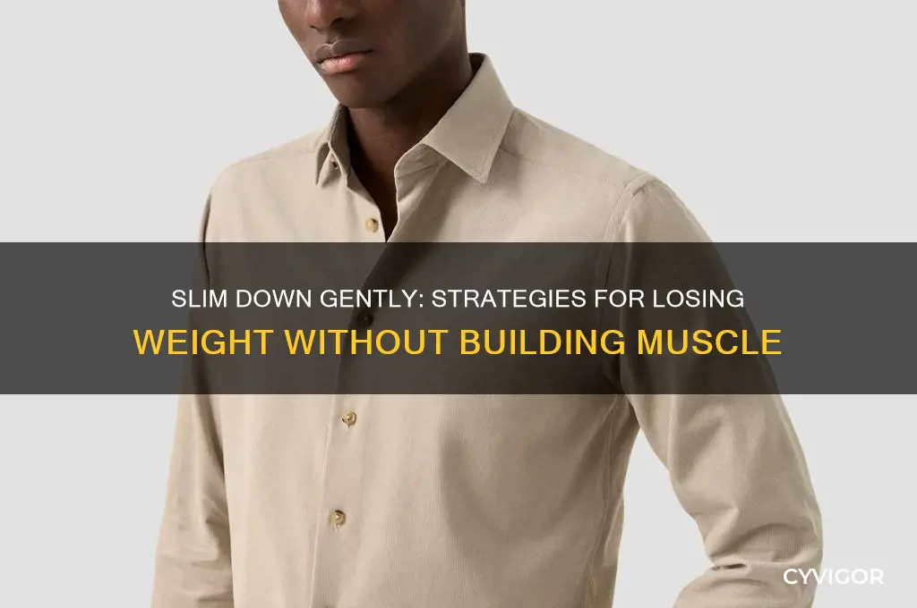 how to get thinner without gaining muscle