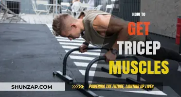 Sculpt Strong Triceps: A Comprehensive Guide to Toned Arms
