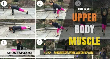 Building Upper Body Strength: A Comprehensive Guide