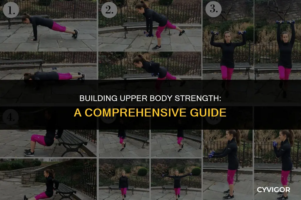 how to get upper body muscle
