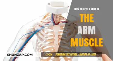 Mastering Intramuscular Injections: A Step-by-Step Guide to Arm Muscle Shots