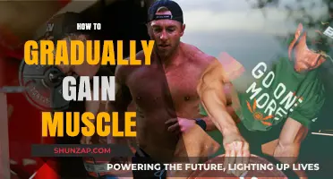 Effective Strategies for Gradual Muscle Gain: A Comprehensive Guide