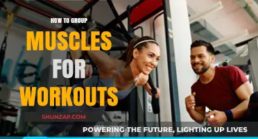 Effective Muscle Grouping Strategies for Maximizing Workout Efficiency and Results