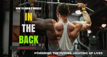 Building a Stronger Back: Tips for Developing Your Rear Muscles