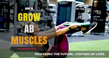 Effective Strategies to Build and Define Your Abdominal Muscles Fast