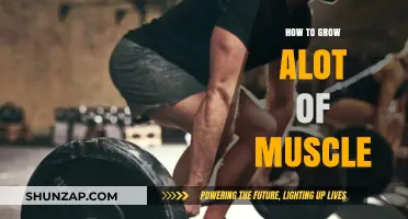 Maximize Muscle Growth: Proven Strategies for Rapid Strength Gains