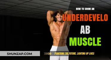 Sculpting Your Core: Effective Strategies to Develop Underdeveloped Ab Muscles