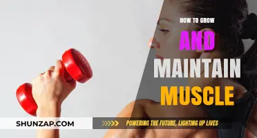 Effective Strategies for Building and Sustaining Muscle Mass Long-Term