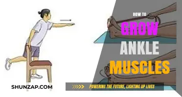 Strengthen Your Ankles: Effective Exercises to Grow Ankle Muscles