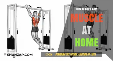 Effective Home Workouts to Build Stronger Arm Muscles Fast