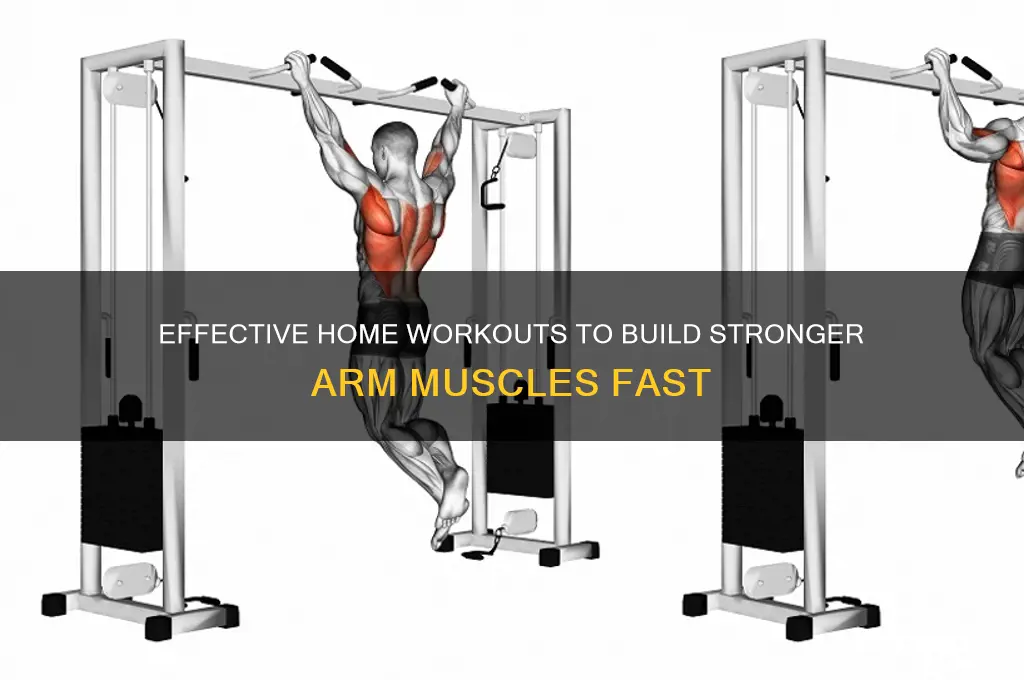 how to grow arm muscle at home