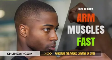 Effective Arm Muscle Building: Fast Growth Strategies for Stronger Arms