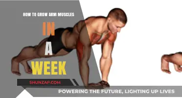Quick Arm Muscle Growth: Effective Week-Long Strategies for Stronger Arms
