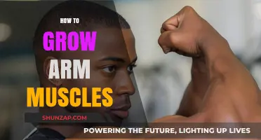 Effective Arm Muscle Building: Tips for Stronger, Bigger Arms Fast