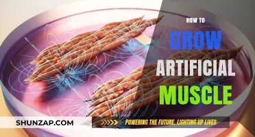 Innovative Techniques to Develop and Strengthen Artificial Muscles Effectively