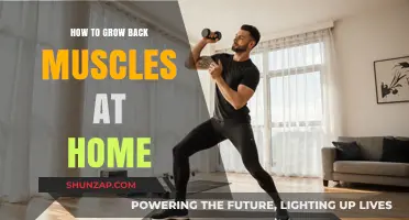 Building a Stronger Back: Effective Home Exercises for Muscle Growth