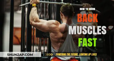Unlocking Strength: A Guide to Rapid Back Muscle Growth