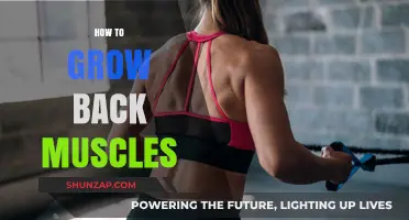 Strengthen Your Back: A Guide to Building Powerful Muscles