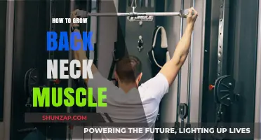 Strengthening Your Back Neck Muscles: A Comprehensive Guide