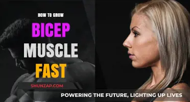 Effective Bicep Building: Fast Muscle Growth Strategies Revealed