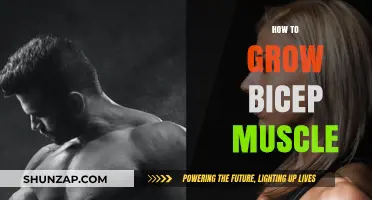 Effective Bicep Building: Proven Techniques for Bigger, Stronger Arms