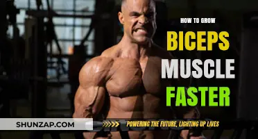 Effective Strategies to Accelerate Biceps Muscle Growth Quickly and Safely