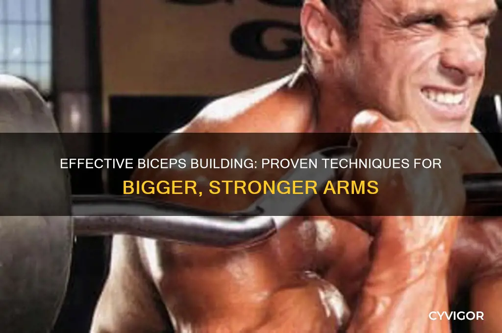 how to grow biceps muscle