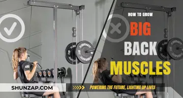 Building a Powerful Back: Tips for Developing Big Back Muscles
