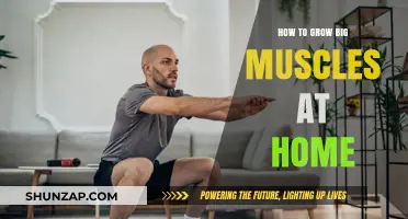 Build Massive Muscles at Home: Effective Workouts and Tips