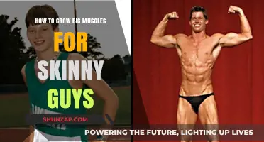 Skinny to Strong: Proven Muscle-Building Strategies for Ectomorphs