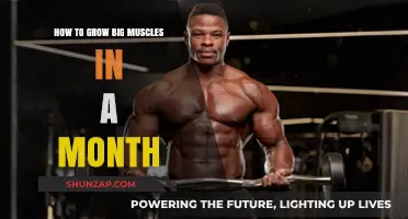 Rapid Muscle Growth: Proven Strategies for Bigger Muscles in 30 Days