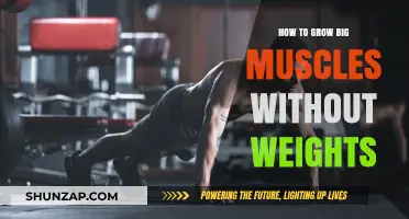Build Massive Muscles: Effective Bodyweight Training Strategies for Strength