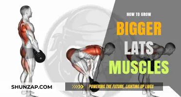 Maximize Lat Growth: Proven Techniques for Bigger, Stronger Back Muscles