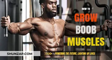 Effective Exercises to Strengthen and Tone Your Chest Muscles