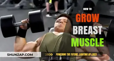 Effective Exercises and Tips to Naturally Enhance Breast Muscle Growth