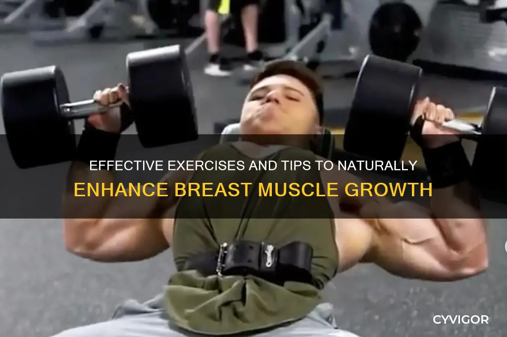 how to grow breast muscle