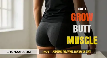 Effective Butt Muscle Growth: Exercises, Nutrition, and Tips for Results
