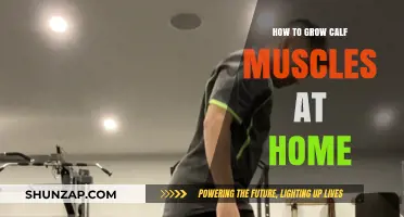 Effective Calf Muscle Growth: Home Exercises and Tips