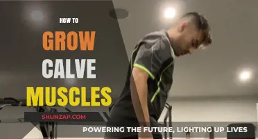 Effective Calf Muscle Growth: Tips, Exercises, and Strategies for Stronger Legs
