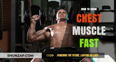 Effective Strategies for Rapid Chest Muscle Growth and Strength