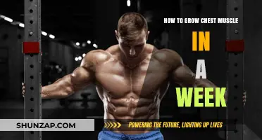 Quick Chest Growth: Effective Weekly Workout Tips for Bigger Muscles