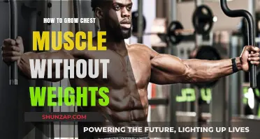 Build a Stronger Chest: Effective Bodyweight Exercises for Muscle Growth