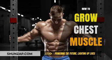 Effective Chest Muscle Growth: Proven Workouts and Nutrition Tips