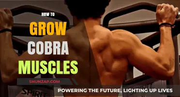 Build Cobra Muscles: Ultimate Guide to Strength and Definition
