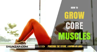 Strengthen Your Core: Effective Strategies for Building Powerful Muscles