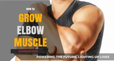 Effective Elbow Muscle Growth: Strengthening Techniques and Workouts for Stronger Arms