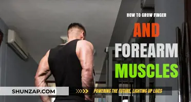 Effective Techniques to Strengthen Finger and Forearm Muscles Fast