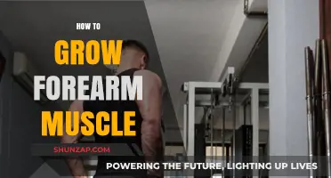Effective Techniques to Build Stronger, Bigger Forearm Muscles Fast
