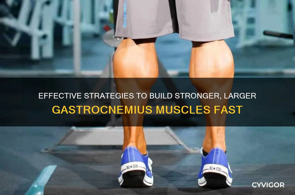 how to grow gastrocnemius muscle