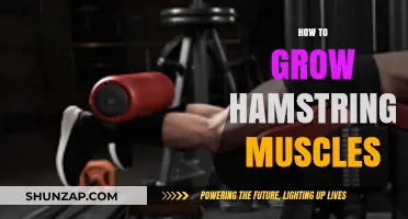 Effective Hamstring Growth: Strengthening Techniques for Powerful Leg Muscles